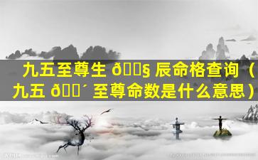 九五至尊生 🐧 辰命格查询（九五 🐴 至尊命数是什么意思）